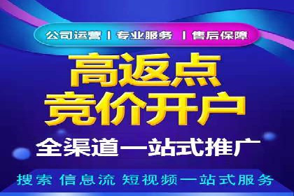 行业领先SEM服务公司案例研究